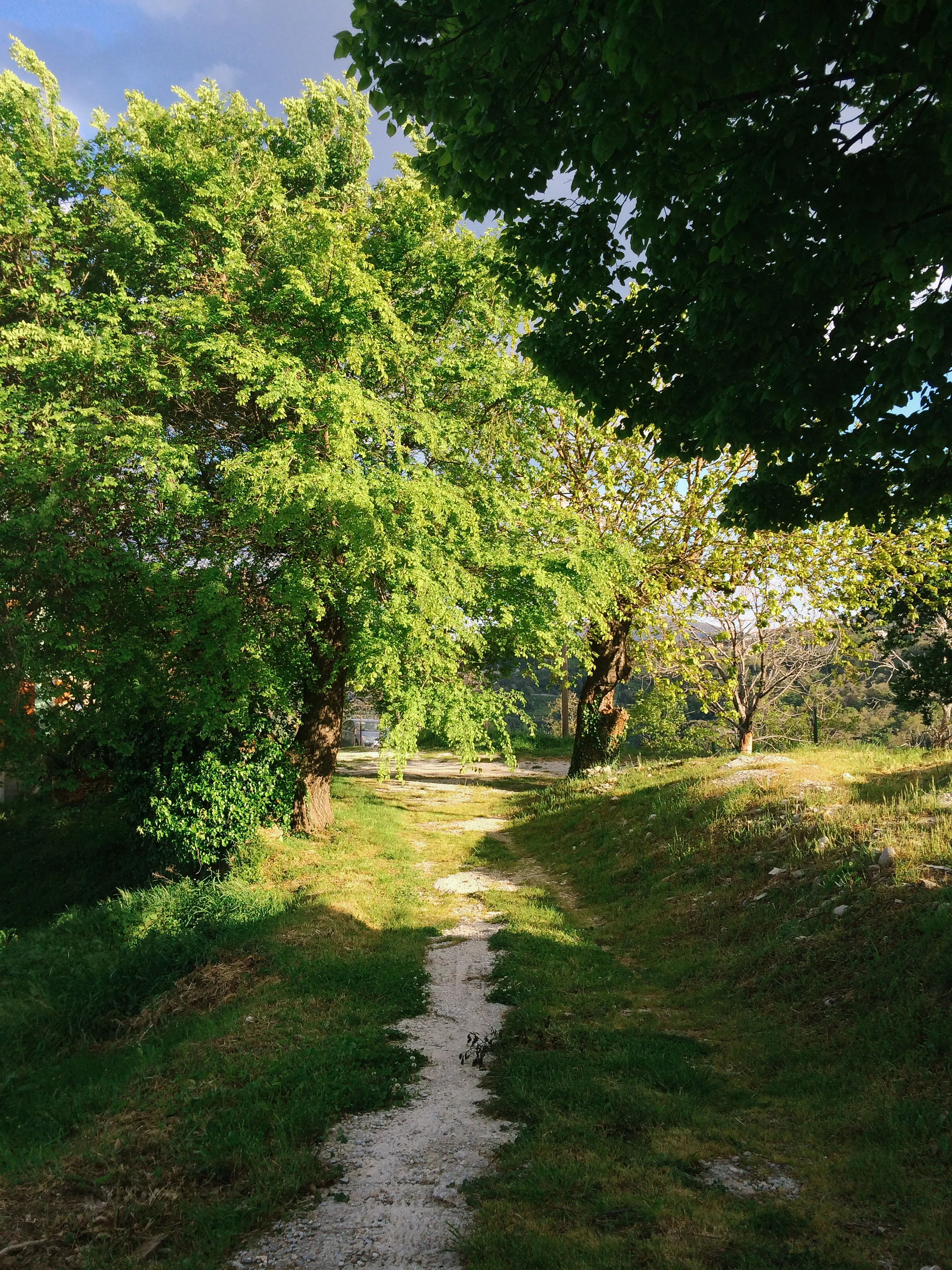photo 13.jpg