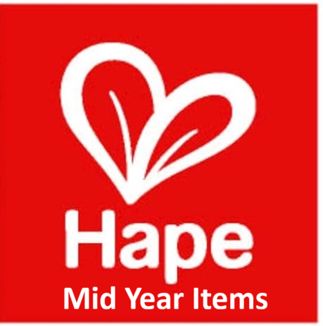 hape mid year.png