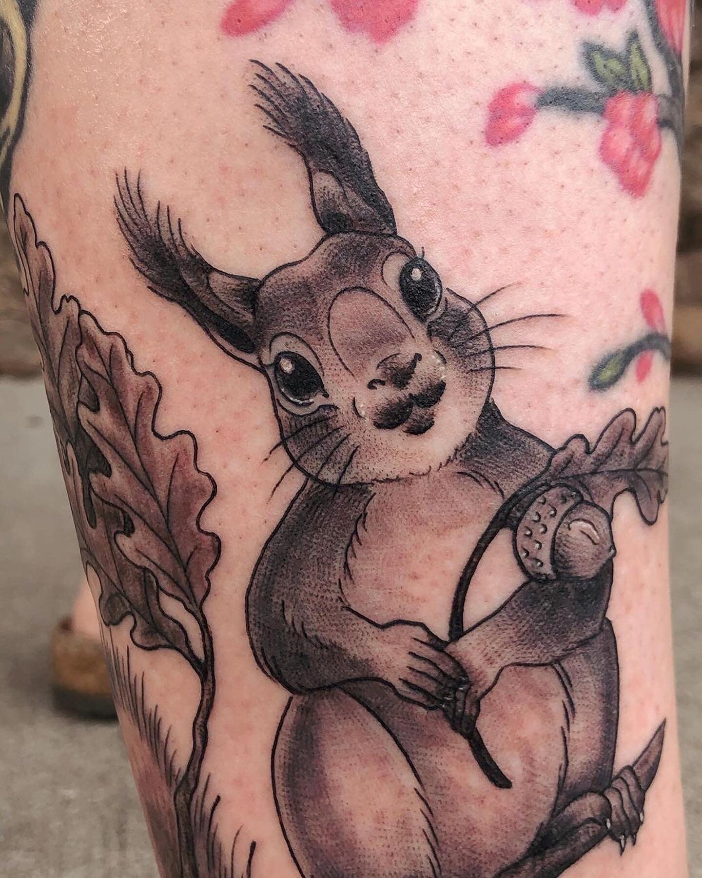 @emhalbs did this delightful squirrely boi earlier this week! 🐿 Find someone that looks at you the same way Stormey&rsquo;s Abert&rsquo;s Squirrel does 🥺🌱🌰 thanks @stormeyomega for trusting her with him! You&rsquo;re the greatest!!