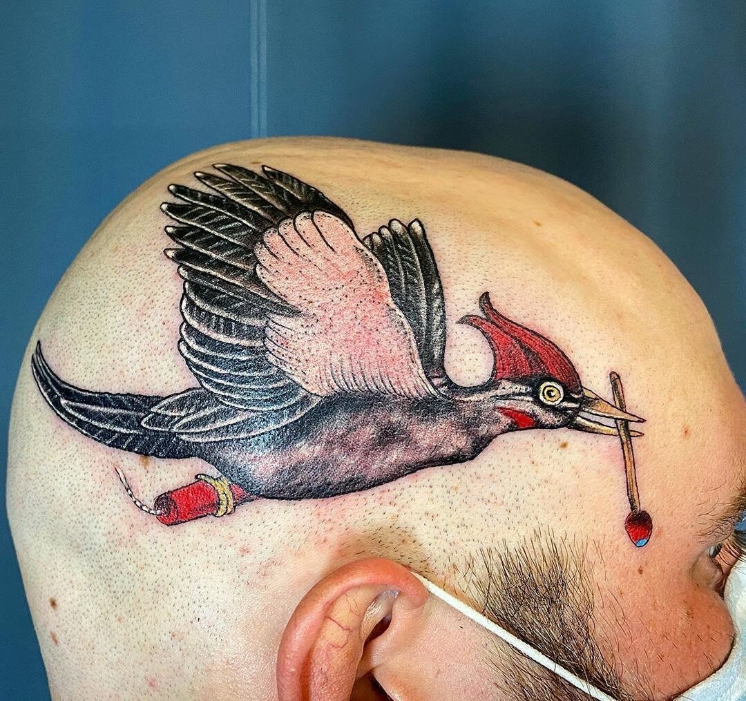 Things you can when you have a shaved head. @patricksans did this woodpecker holding a firecracker 🧨 and match today! From the Tim Robbins book- Still life with woodpecker.