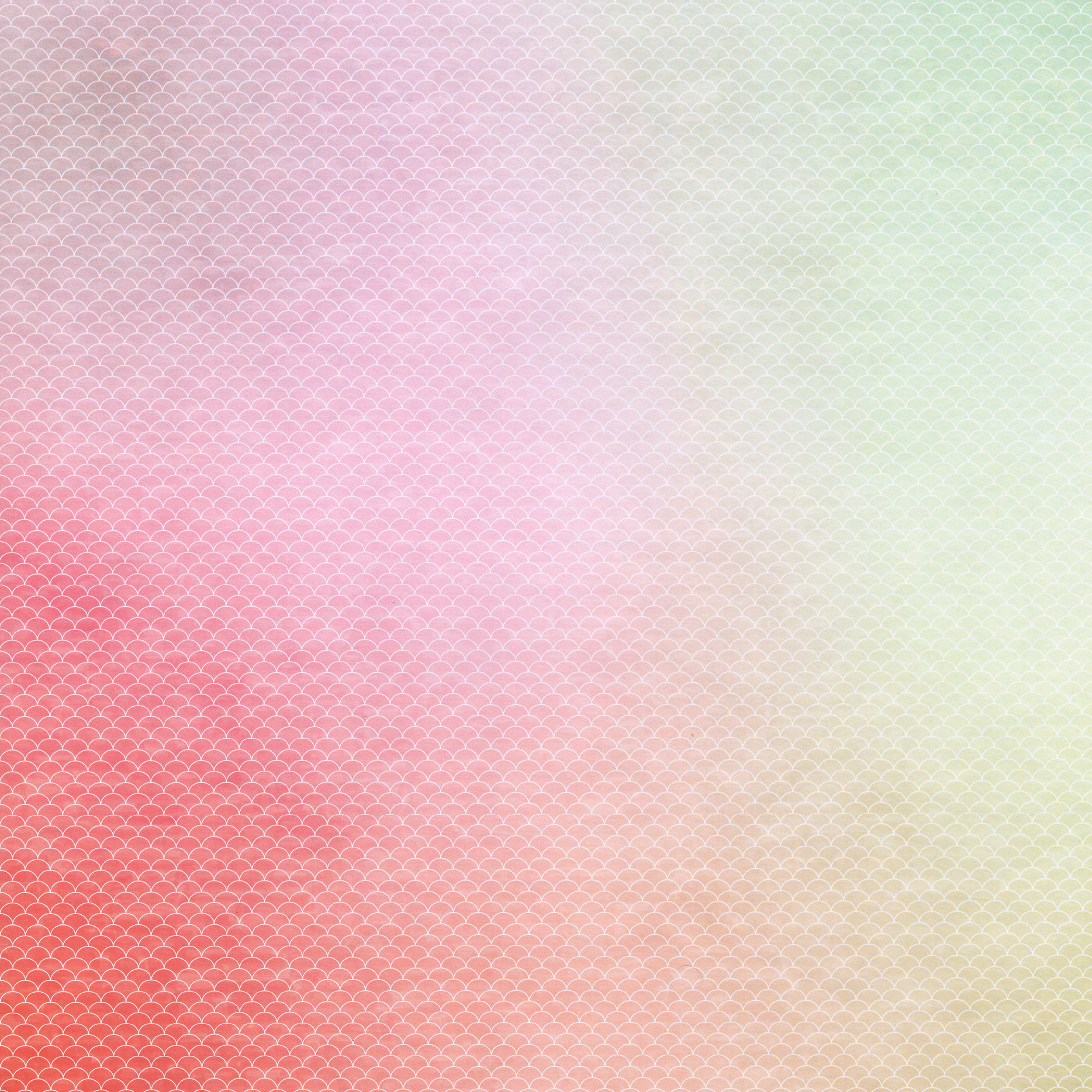 Scan+1.png