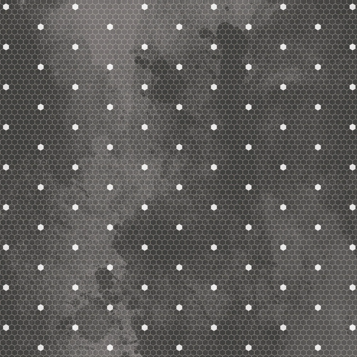 03 ac_pp_auburnlane_pp1_2.jpg