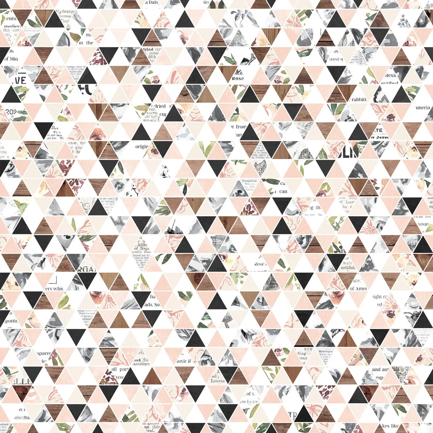 08 ac_pp_auburnlane_pp2_10.jpg