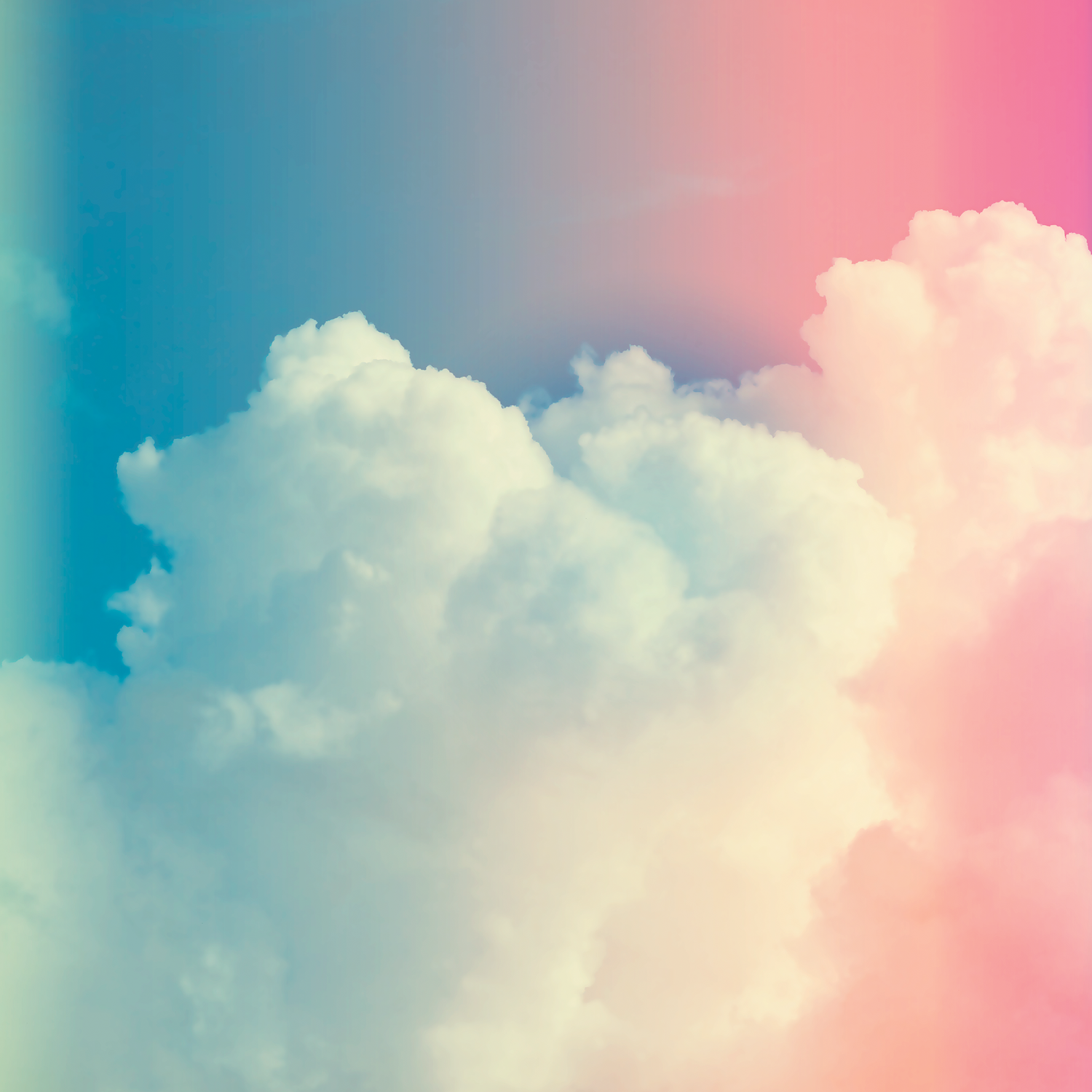 12 310062_WildChild_Paper_01B-01.png