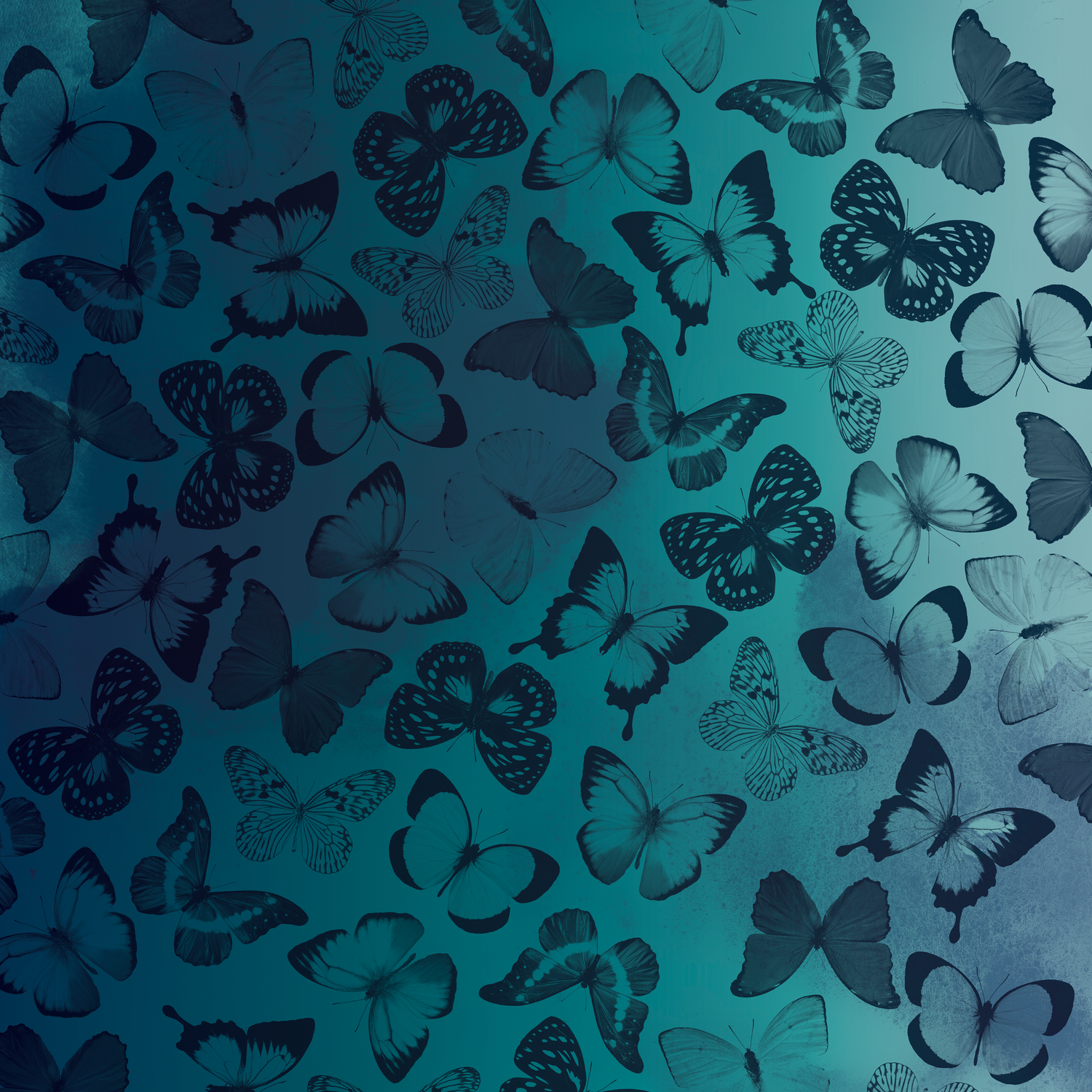 44 310479_PP_Moonstruck_12x12Paper_08A.png