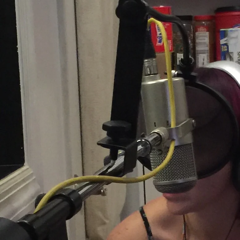 the mic capturing the scratch vocals