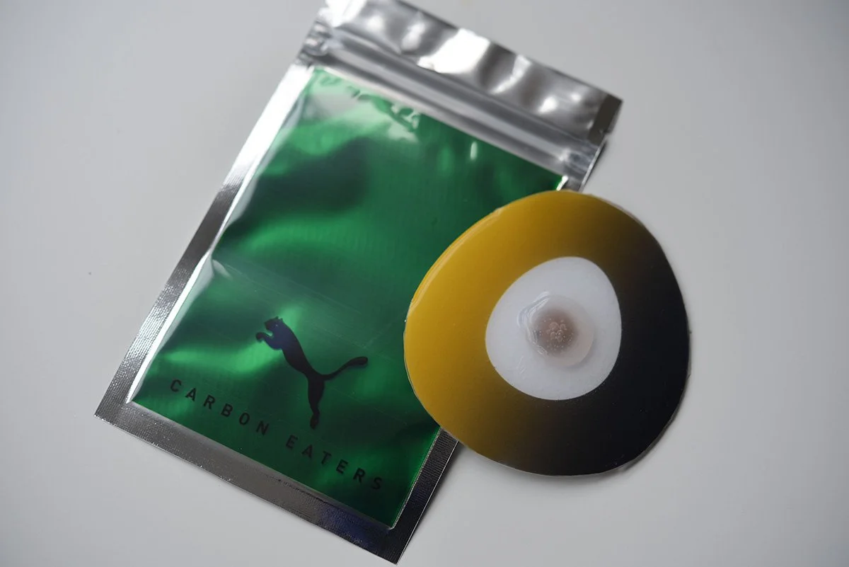Puma_carbon_eaters2.jpg