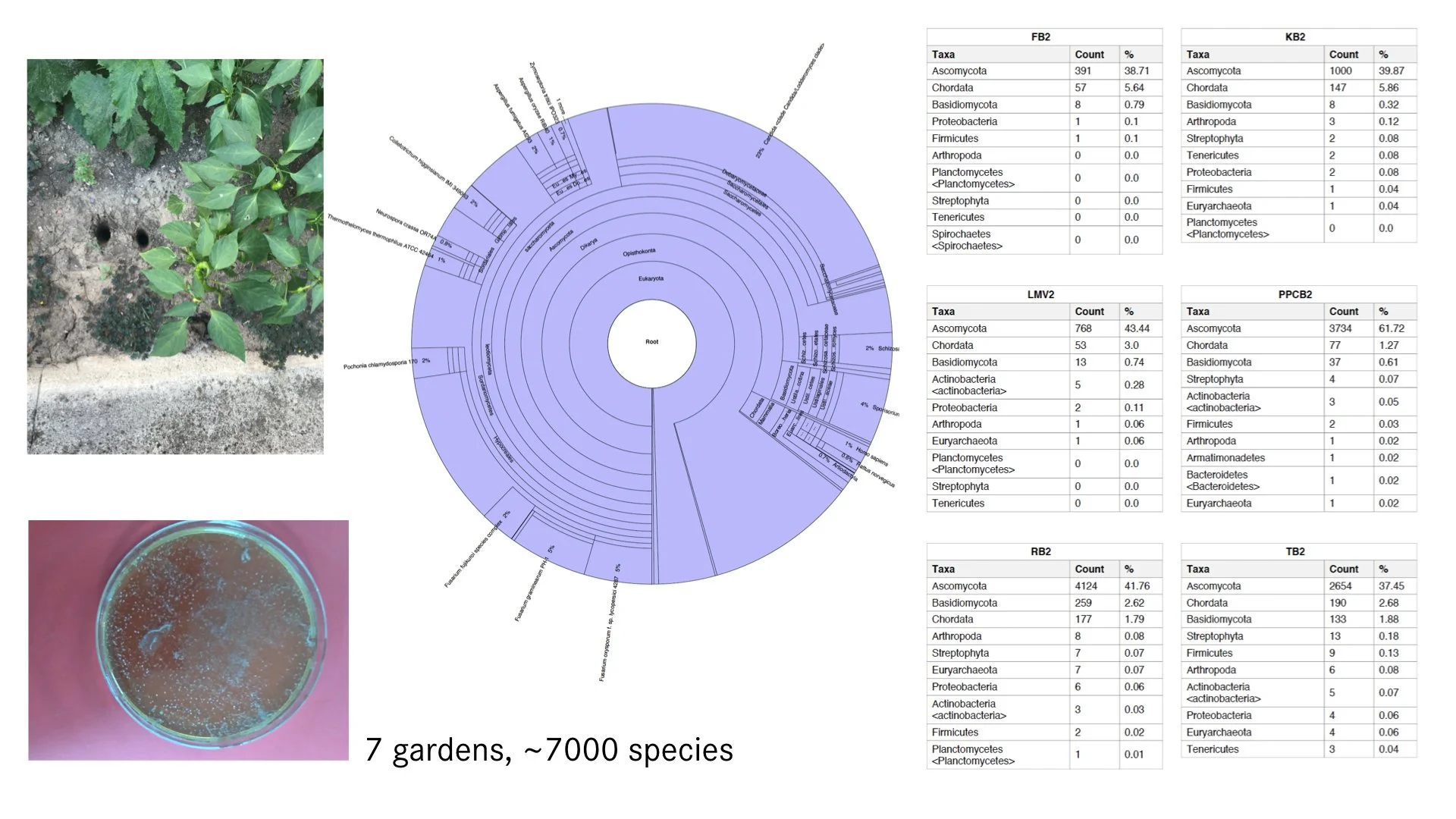soil_dna_sequencing_results.jpeg