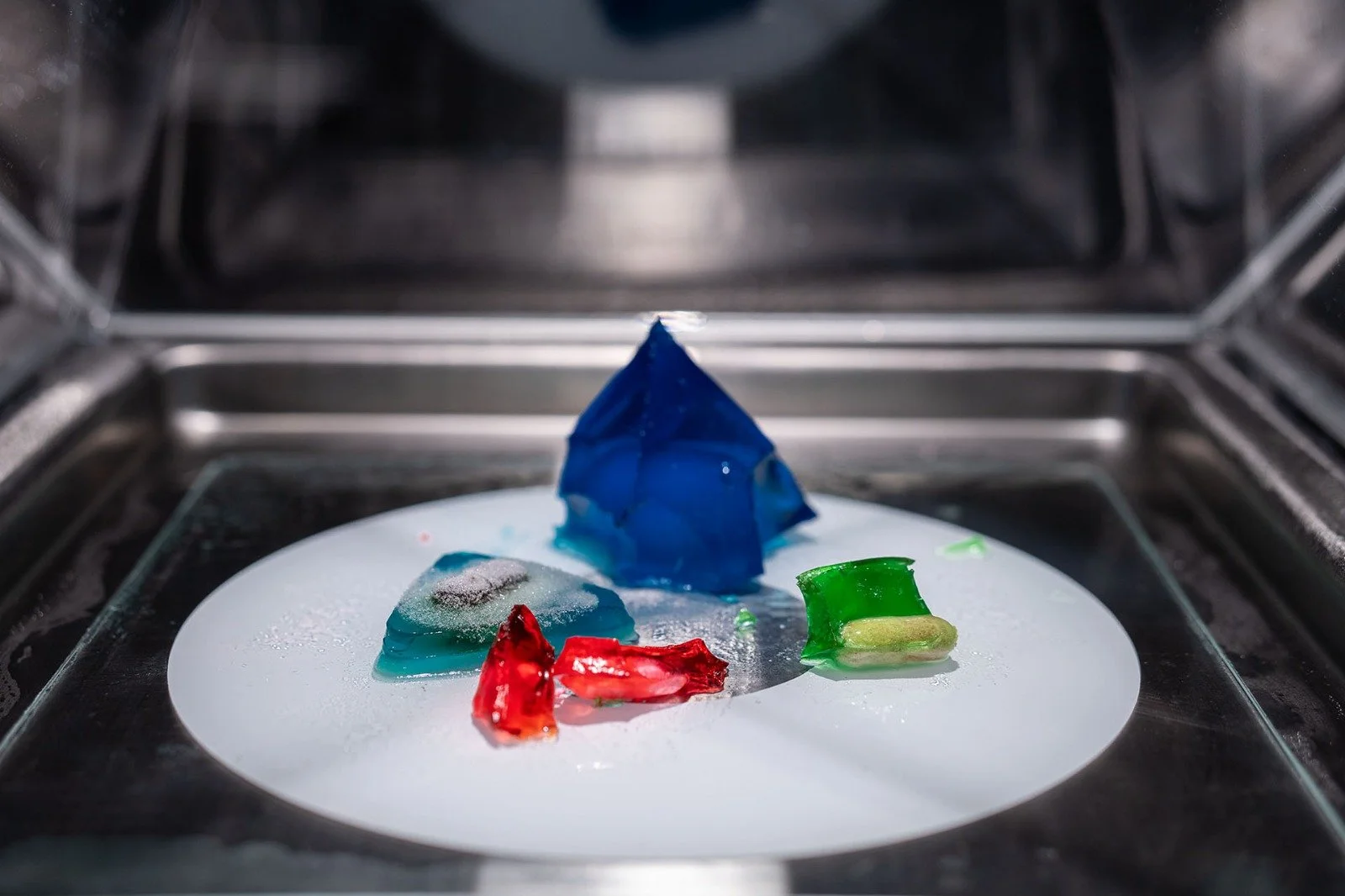 WhatsApp Image 2023-10-23 at 12.16.38 PM.jpeg