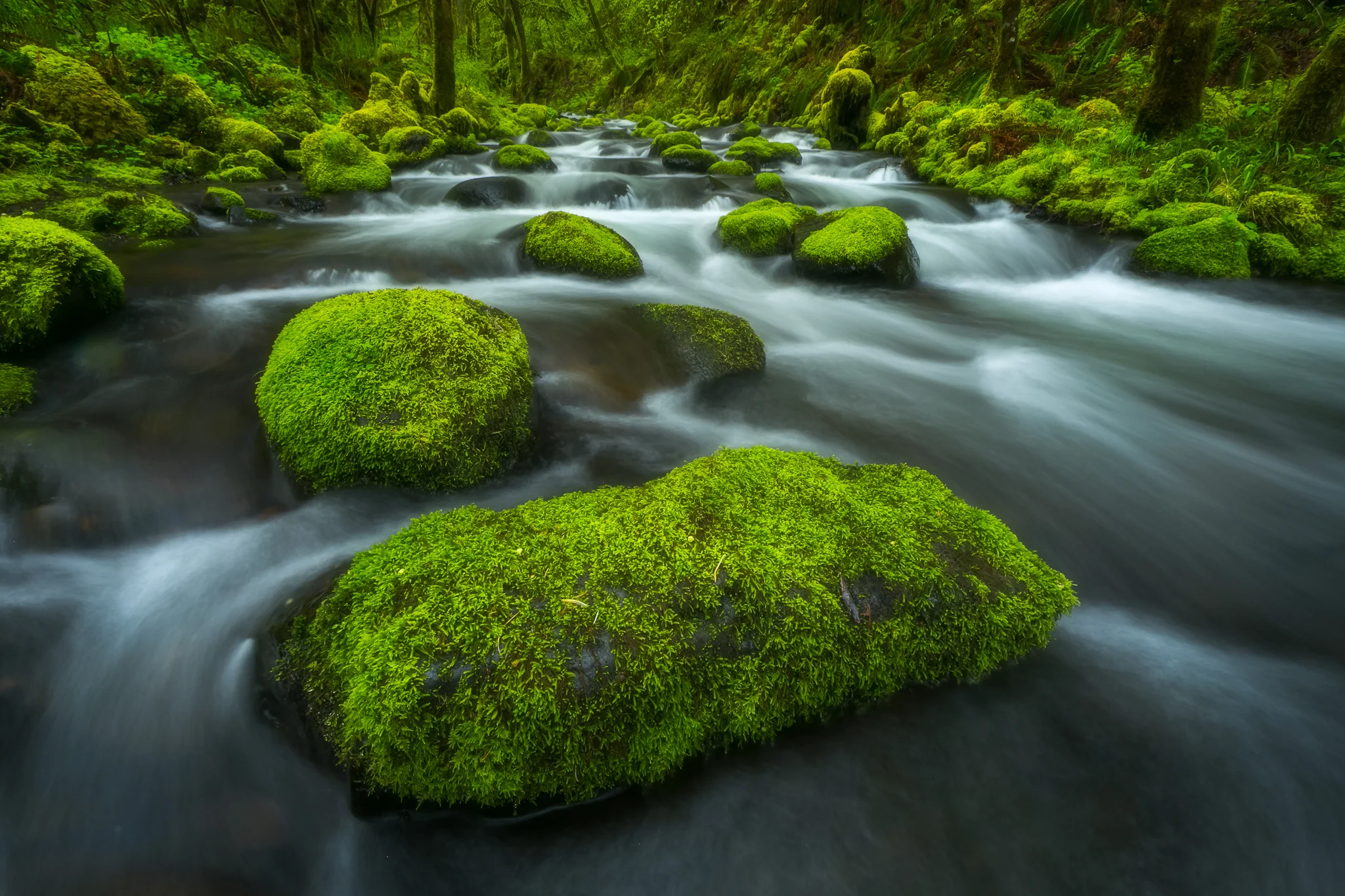 _R9A8325-Edit-(2048w).jpg