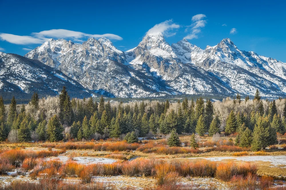 Afternoon Color at Grand Teton