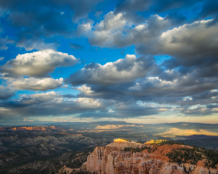 _R9A4937-Edit-2-(900w).jpg