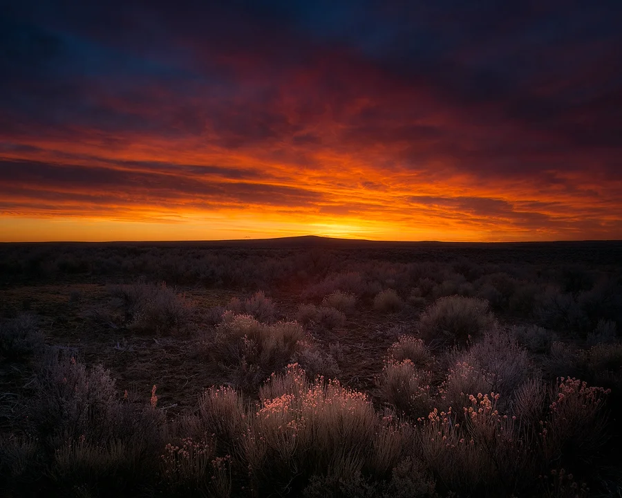 _R9A4930-Edit-(900w).jpg