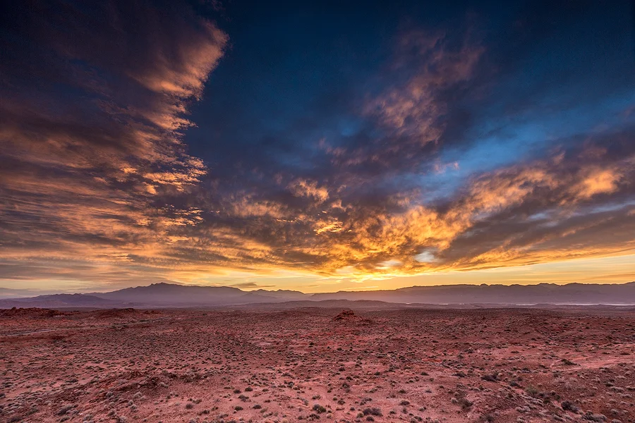 _R9A1486-Edit-(900w).jpg