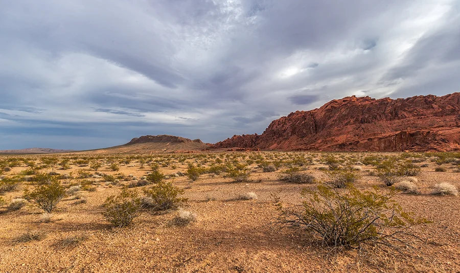 _R9A1614-Edit-(900w).jpg