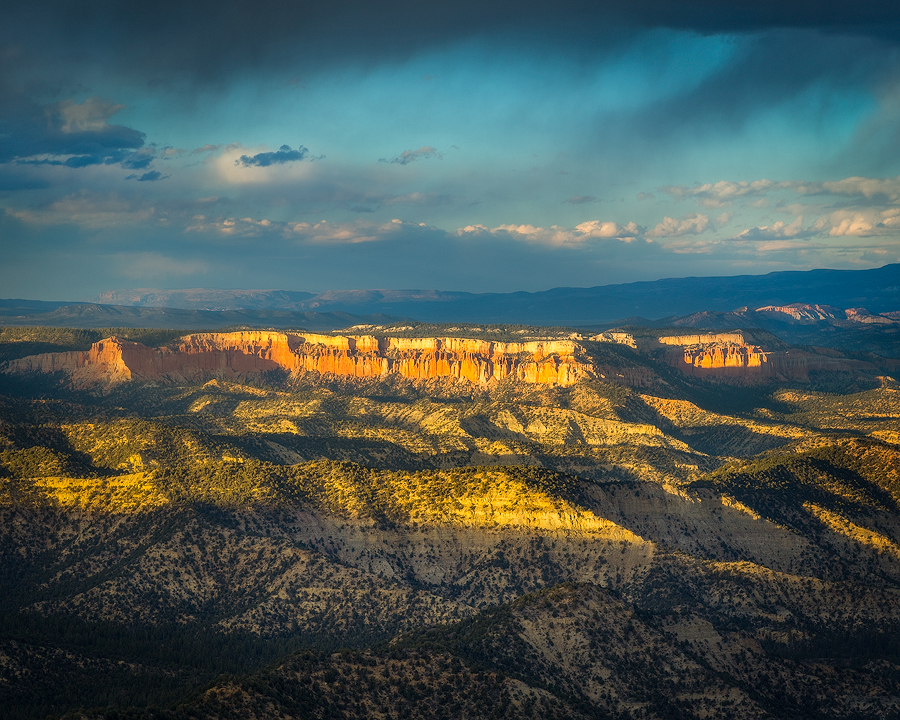 _R9A4907-Edit-(900w).jpg