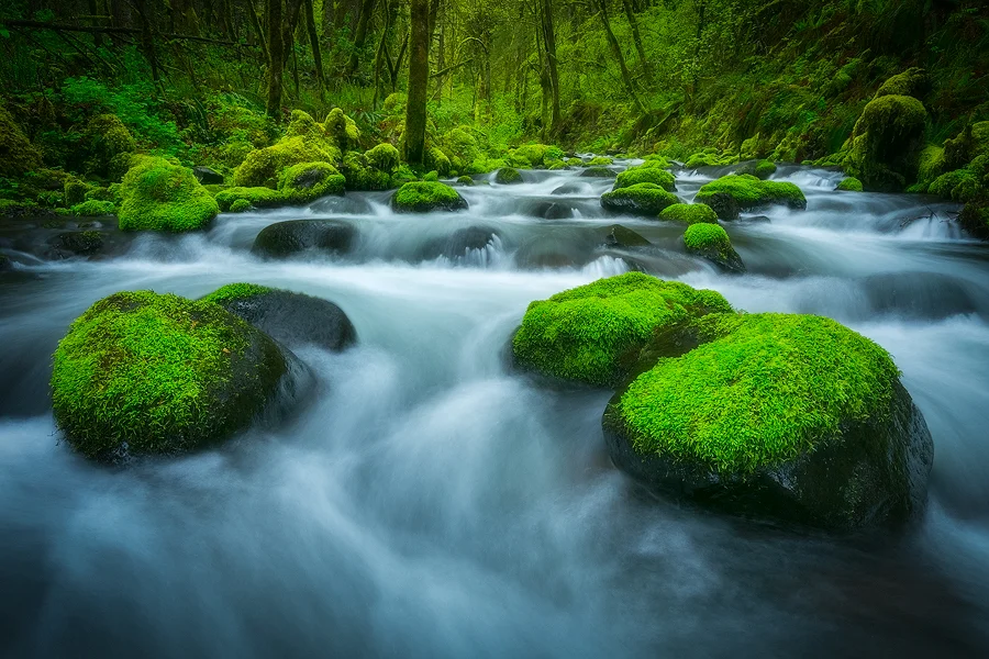 _R9A8335-Edit-(900w).jpg
