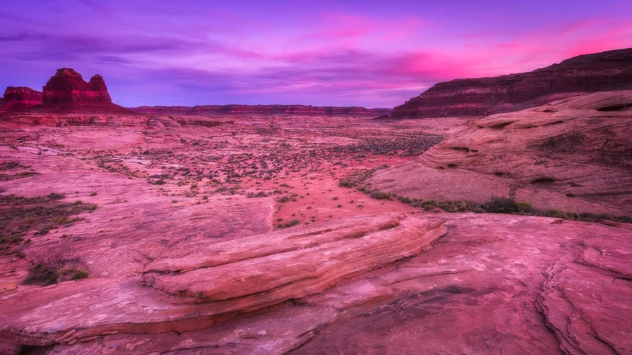 _R9A0700-Edit-(900w).jpg