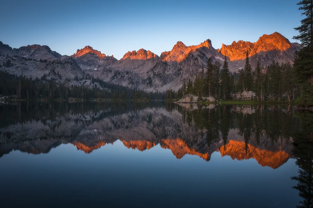 Wave Good Morning, Alice