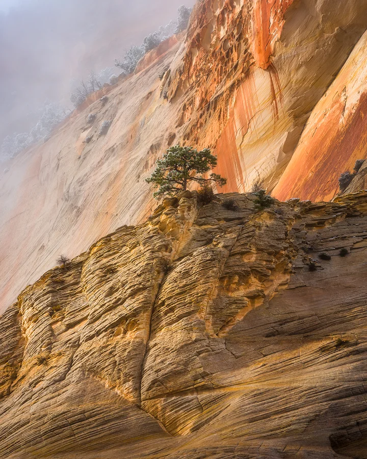 Canyon Enlightenment