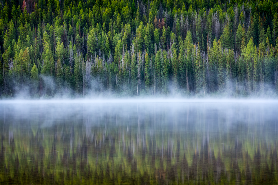 Sawtooth Mist