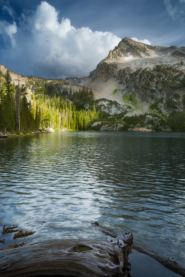Ray of Alpine