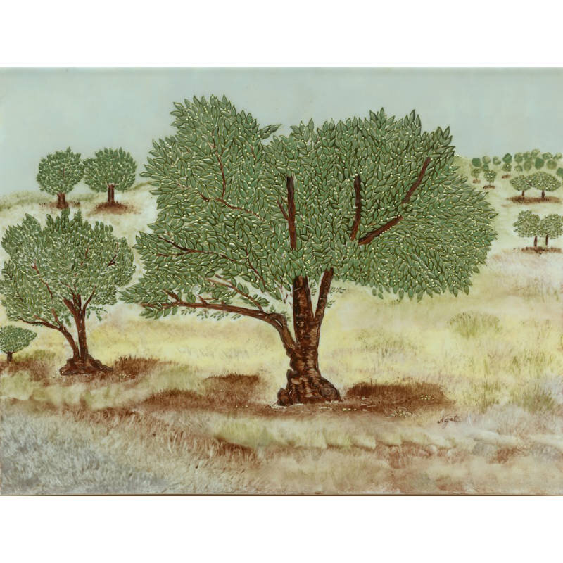 Olive Grove