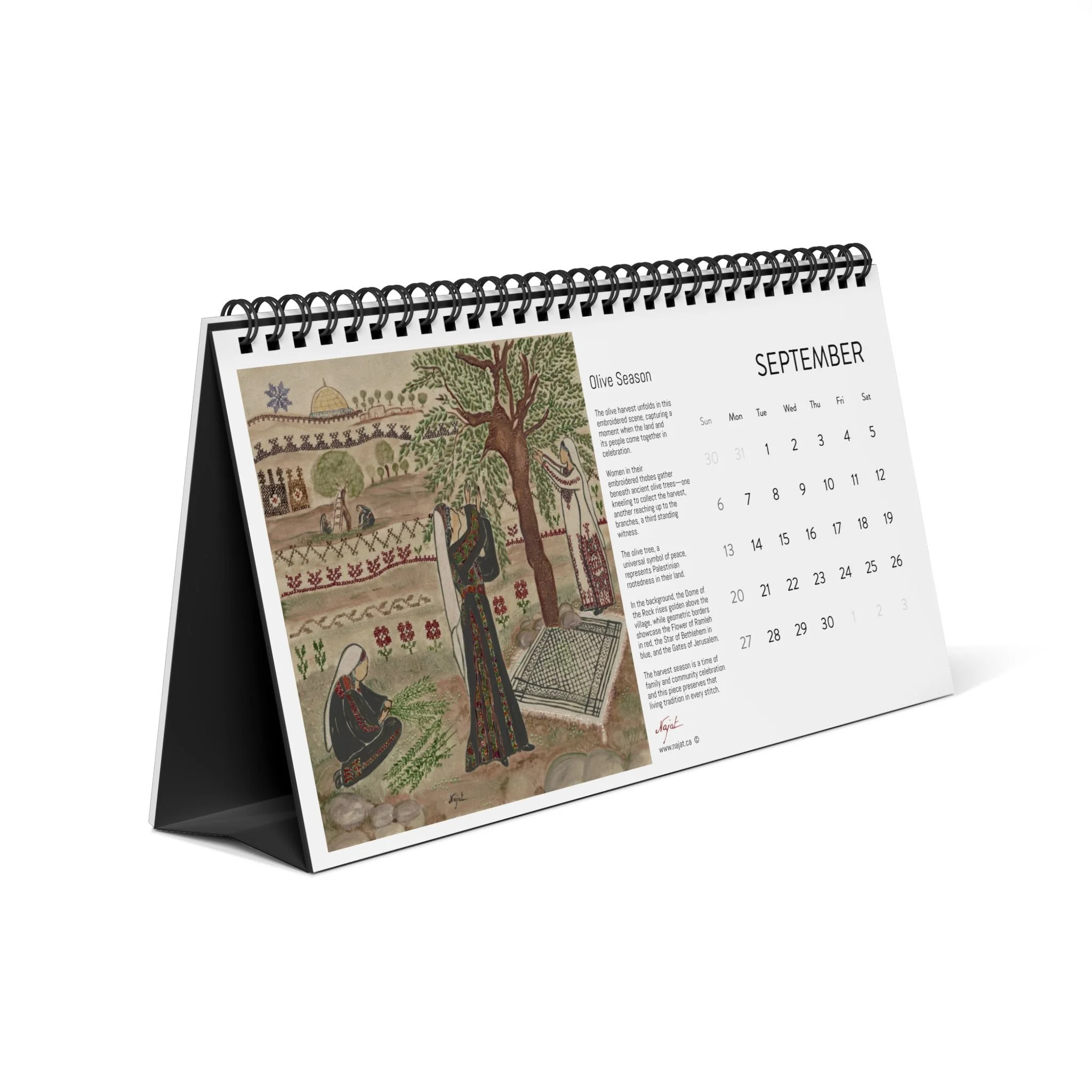 0b62367e2dccbfd283621f9077c5dc9d