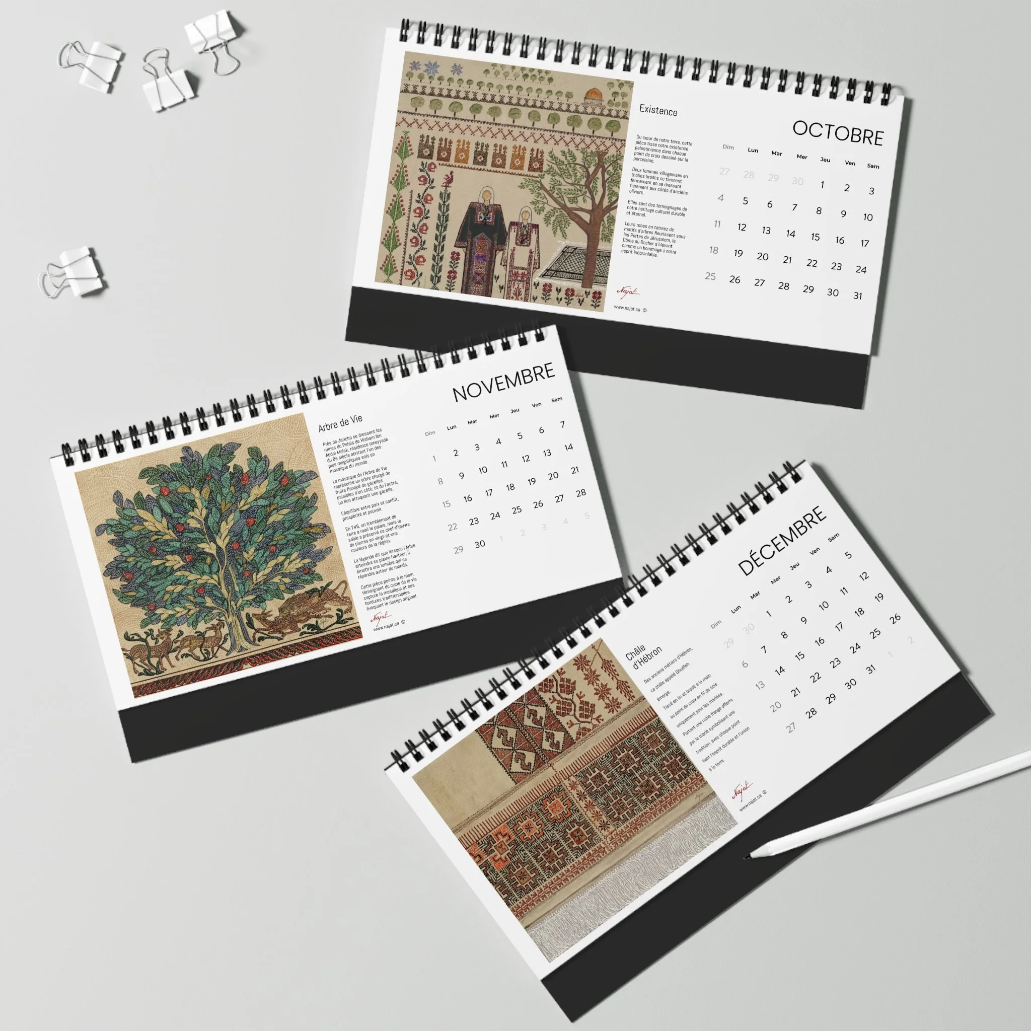 3f53f8ee1beb4f6ed5550192f909b694