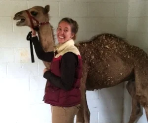 Karen camel.jpg