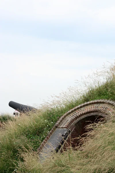 DH56.jpg