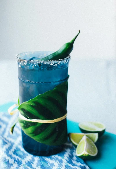 Pottery-Barn-Justina-Blakeney-13.jpg