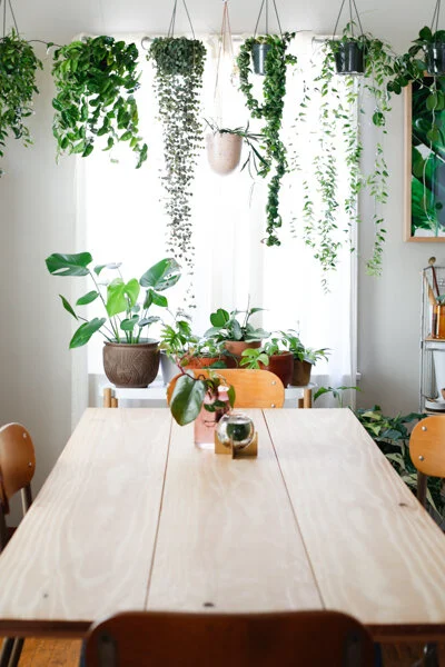 DanaeHorst-HomeStyling-HoyaWindow-Dining-high.jpg