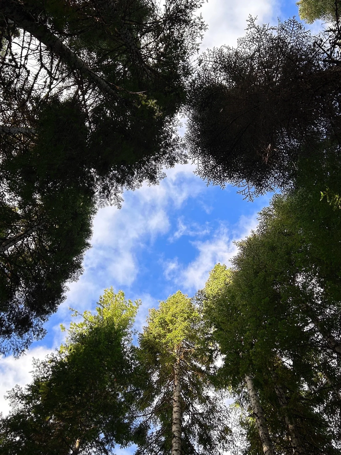 Thielsen View Campground, OR
August 17, 2025