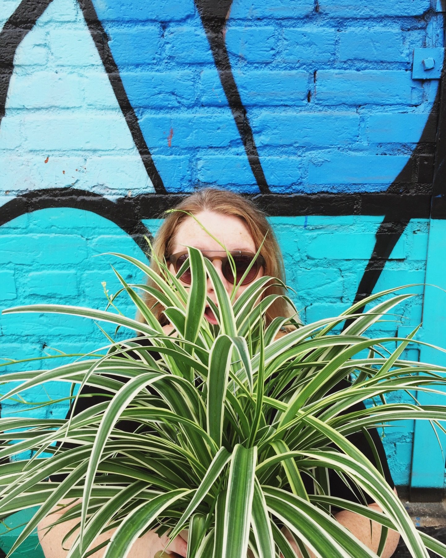 This 2016 look back trend has come at the same time I&rsquo;ve been contemplating where the joy I used to find in sharing photos (like I had in 2016) has gone, and how I can get it back. In 2016:

-I was still posting a photo of a plant every single 