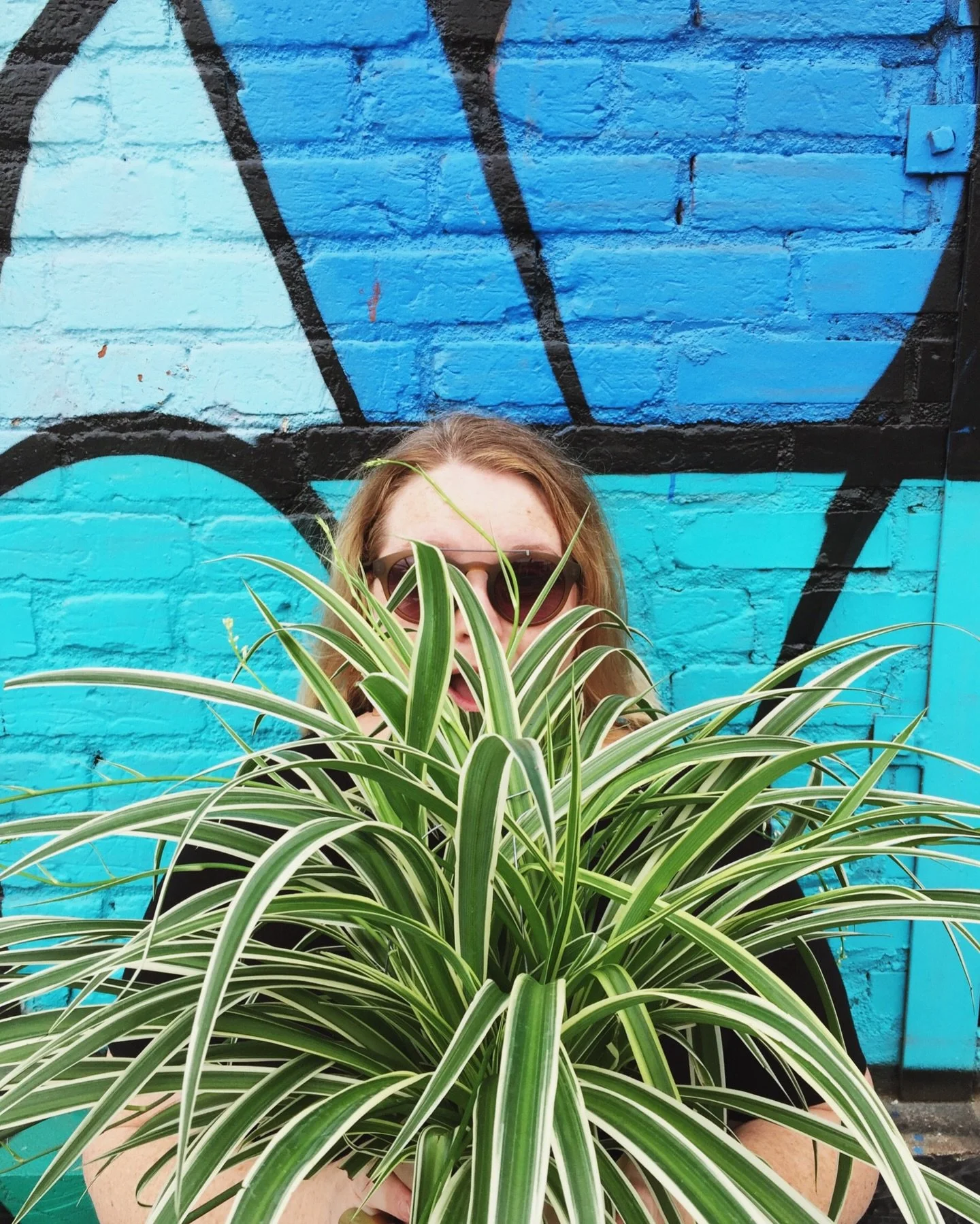 This 2016 look back trend has come at the same time I&rsquo;ve been contemplating where the joy I used to find in sharing photos (like I had in 2016) has gone, and how I can get it back. In 2016:

-I was still posting a photo of a plant every single 