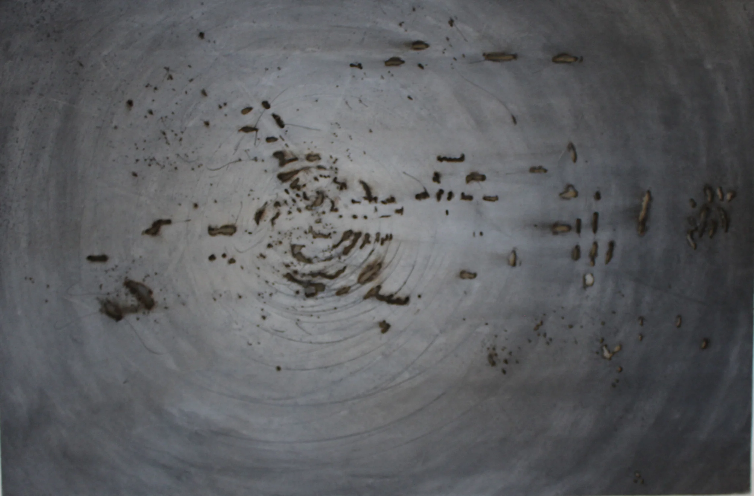 Annalisa Barron , Myopia (burnt charcoal on paper)