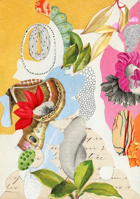 Valerie Roybal , Transmutation 1 (collage)