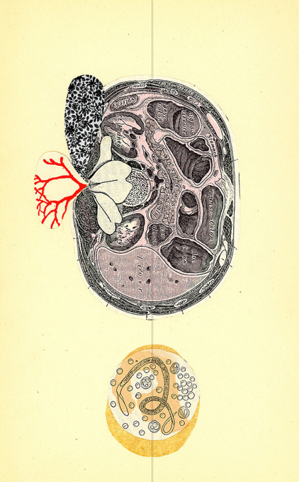 Valerie Roybal , I ntersection (c ollage)