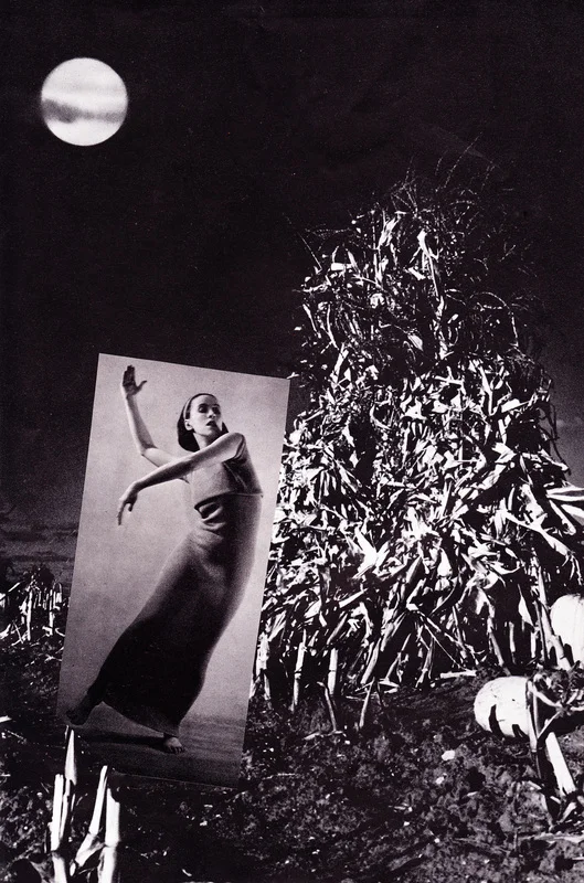 Erin Case , Vogue (collage)