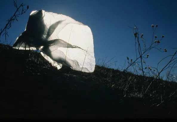 Elizabeth Claire Rose , Luminary (color print from film)