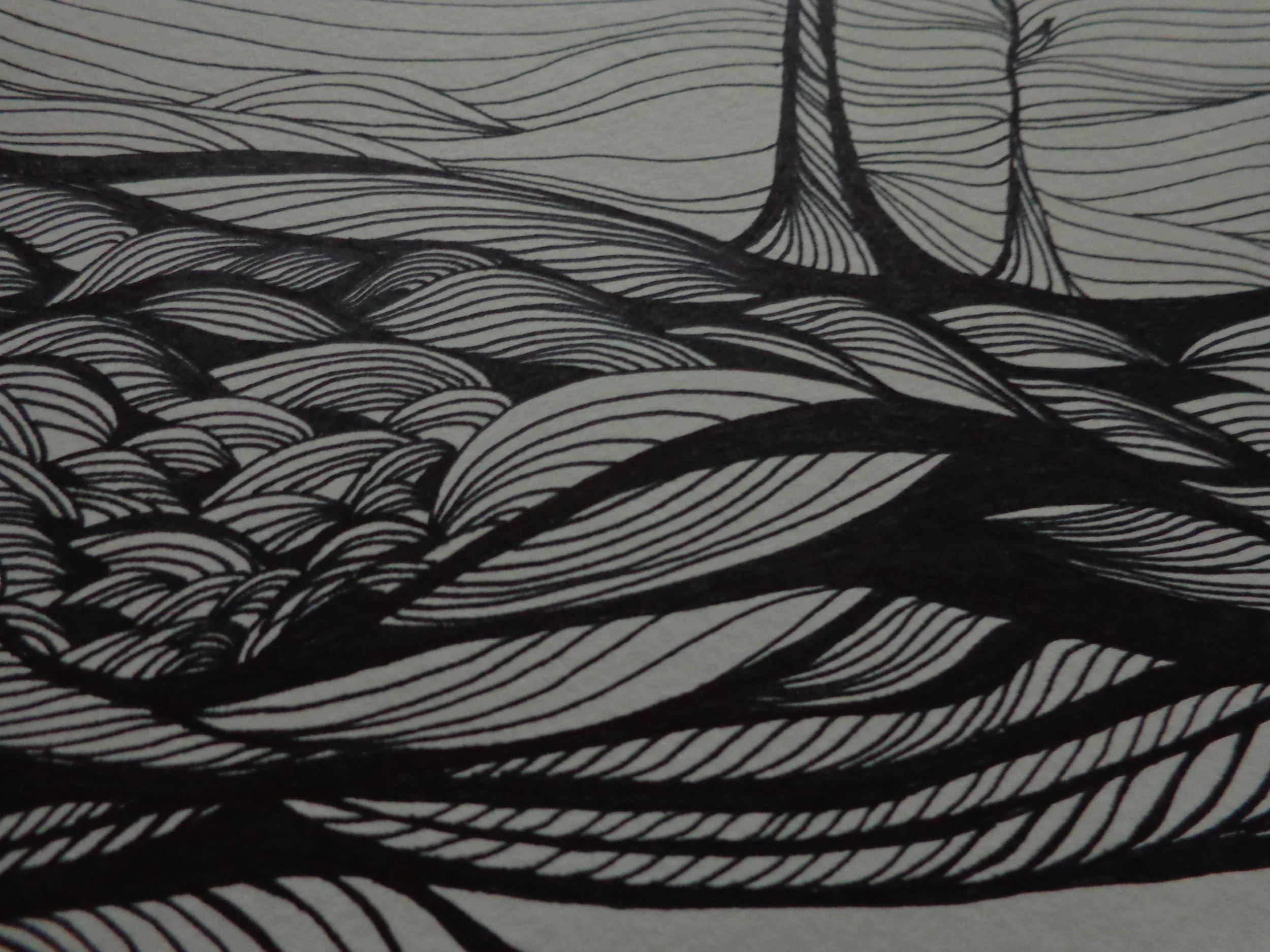 Lora Vahlsing , Landscape (sharpie marker on paper)