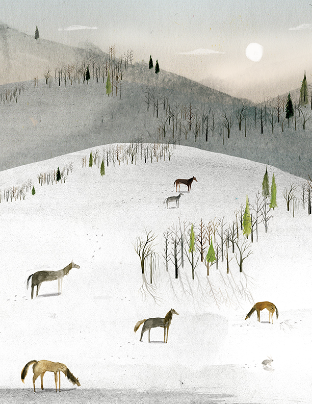 Sarah Jacoby , Nocture 
