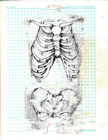 Elizabeth Pelley , Torso Study (digital collage of pencil sketch) 