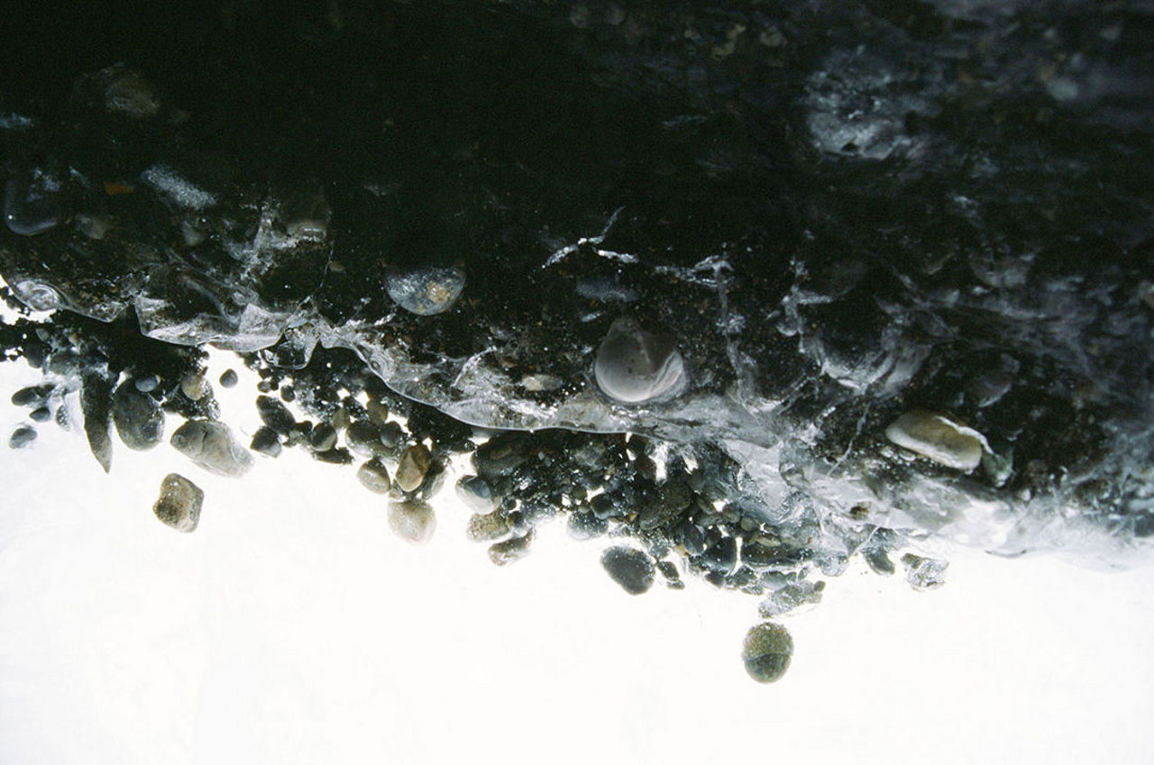 Elizabeth Claire Rose , Ground (digital photograph)