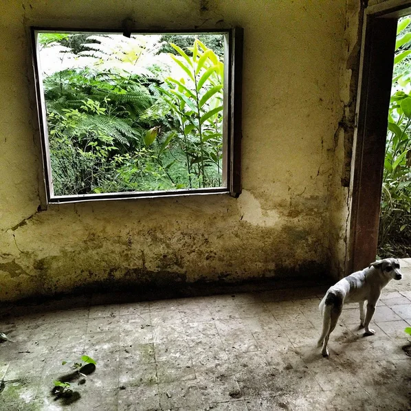 Amalia Mayita Mendez , Casa La Mercedes, El Salvador (photograph)
