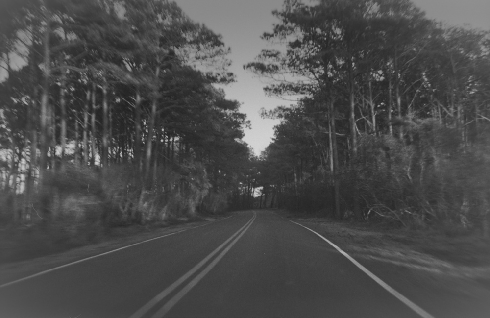 Williamson Brasfield , from Barrier Islands