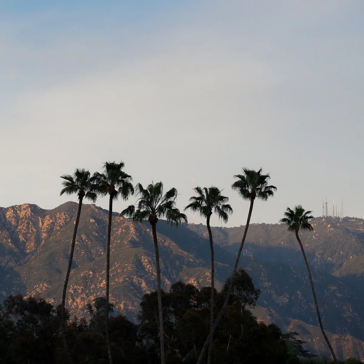 Eric Rawson , San Gabriel Palms