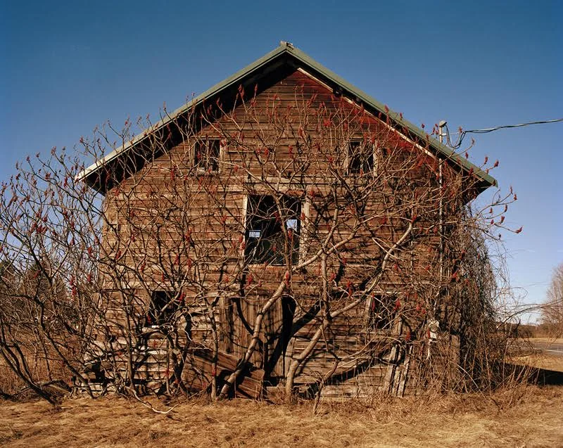 Tema Stauffer , Collapsing Barn with Sumac Trees, Route 9, New York, 2016 (photograph)