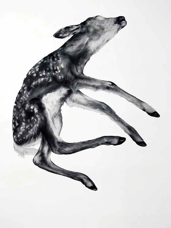 Kate Puxley , Gancho (charcoal on paper, 68x48", 2012)